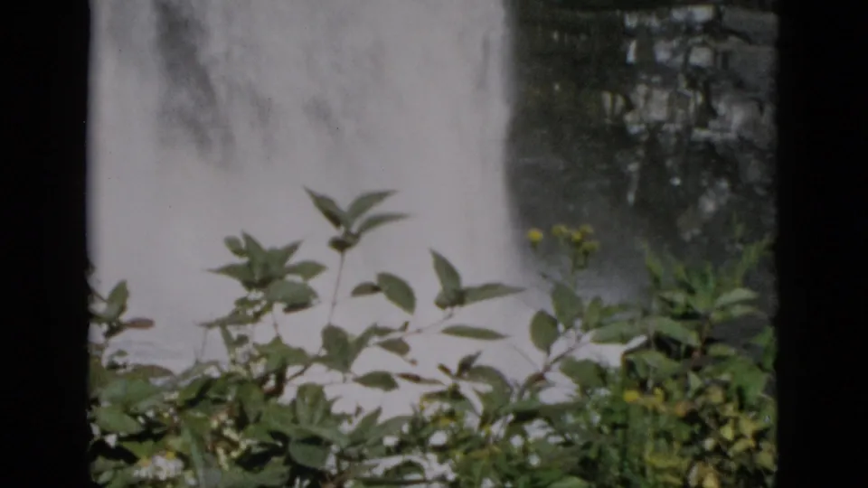8mm home movie of a waterfall seen through dense green foreground foliage with a rocky cliff behind, Quebec, Canada, circa 1952.