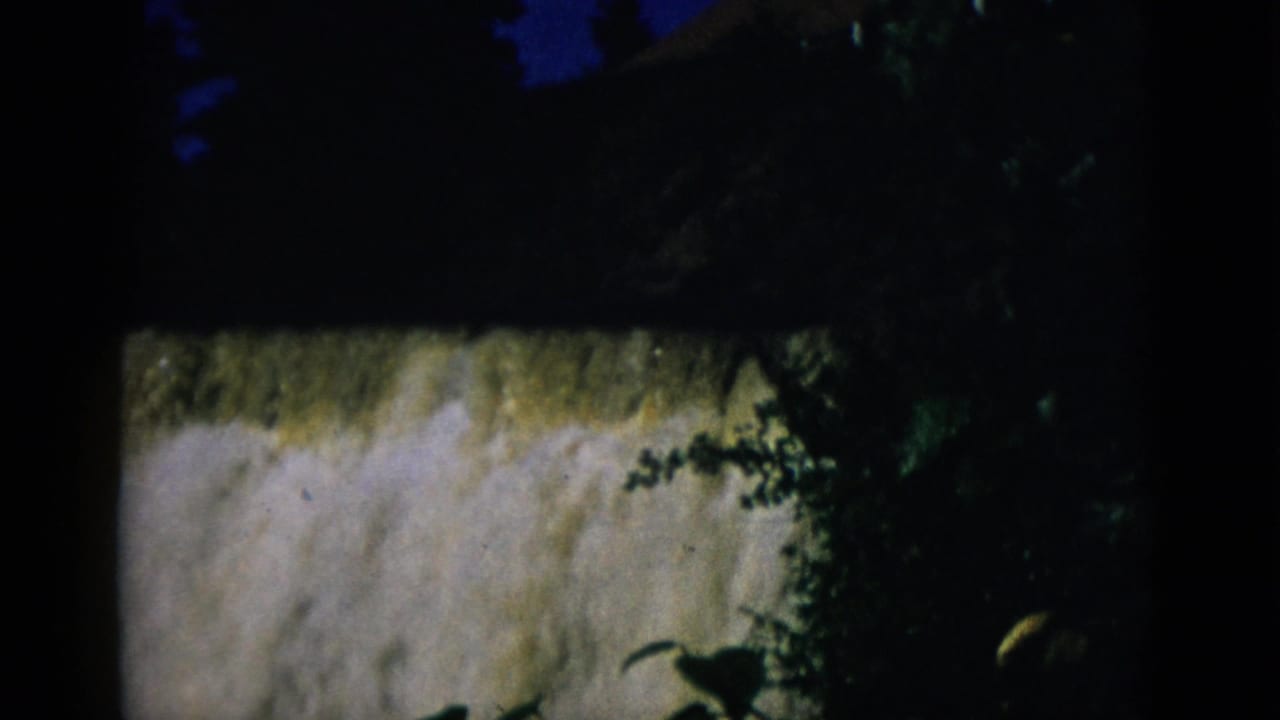 Rushing waterfall seen through dark silhouetted tree branches, 8mm film grain visible.