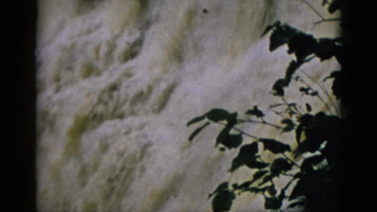 Frothy white waterfall filling the frame, dark leafy branches visible in lower-right corner.