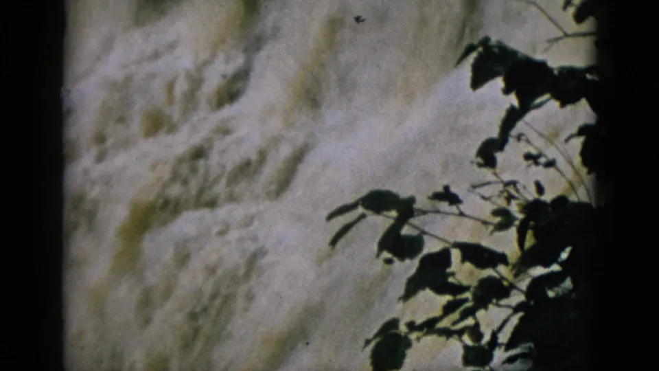 8mm archival shot from 1952 Quebec — churning white waterfall with silhouetted leafy branches at lower frame edge.