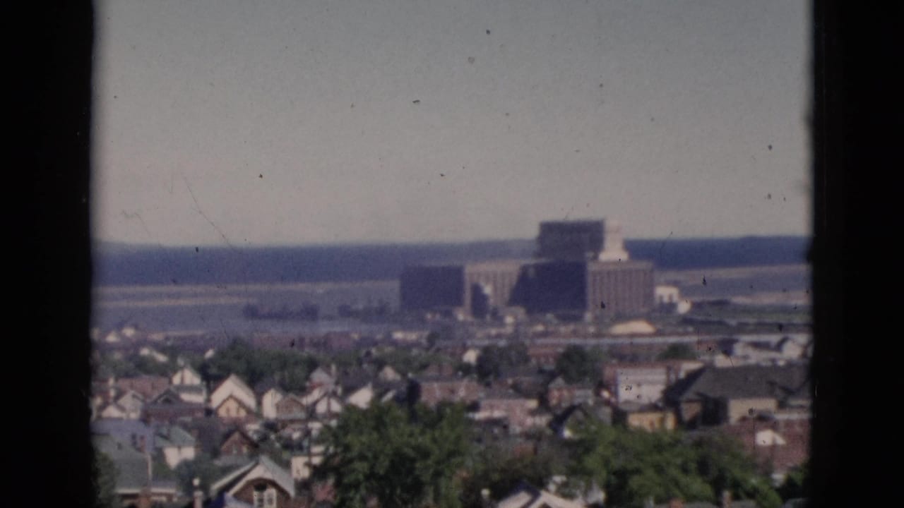 Elevated panoramic view of residential rooftops and tree canopy with a large block building in the background, on 8mm color film.