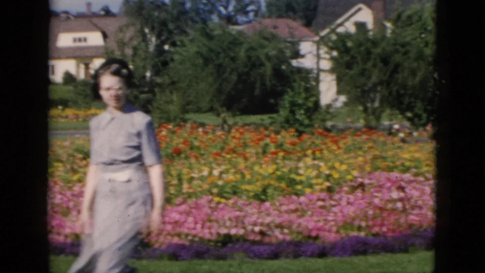 Woman in cat-eye glasses and short-sleeved dress walks beside tiered red, yellow, pink, and purple flower beds in a public garden, Quebec, Canada, circa 1952.