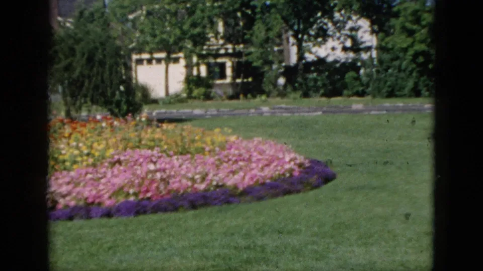 Oval-shaped flower bed with pink, yellow, and purple blooms on a manicured lawn, with a pale residential building and mature trees behind; Quebec, Canada, circa 1952.