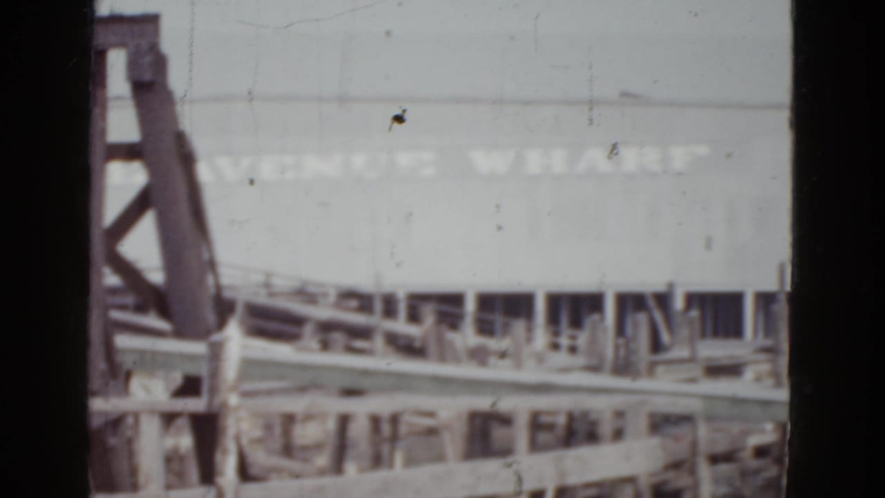 Large industrial wharf building with 'VENICE WHARF' painted sign, wooden dock pilings in foreground, metal lattice structure at far left, 8mm film.