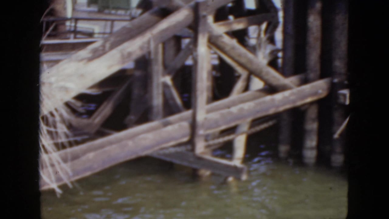 Wooden pier lattice of diagonal beams and pilings over murky greenish water, dry vegetation hanging in the structure.