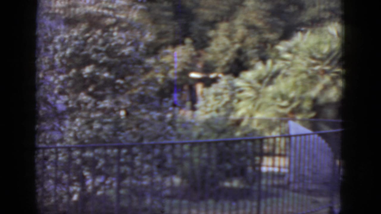 Curved black iron fence and subtropical garden foliage in what appears to be a public park in New Orleans, 1952; faint figures barely visible in background.