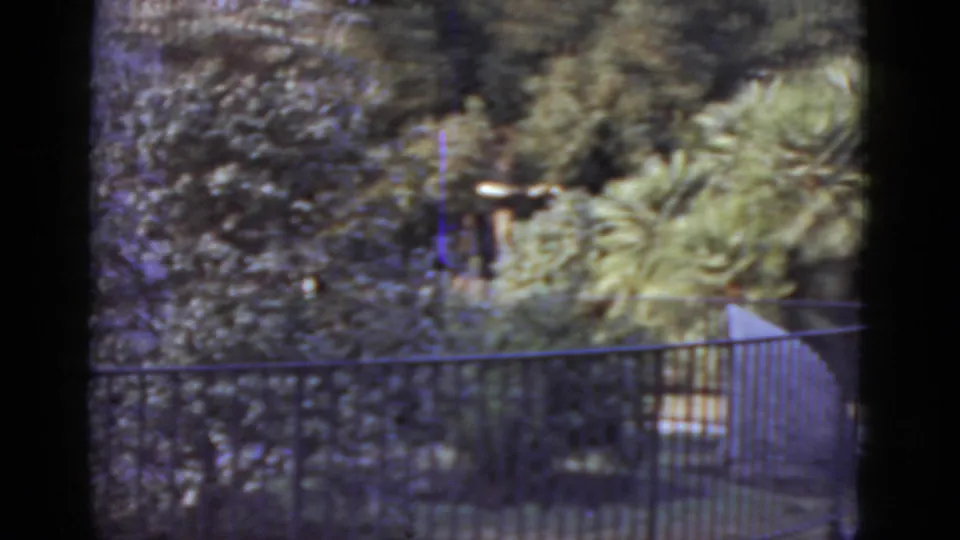 Curved black iron fence and subtropical garden foliage in what appears to be a public park in New Orleans, 1952; faint figures barely visible in background.