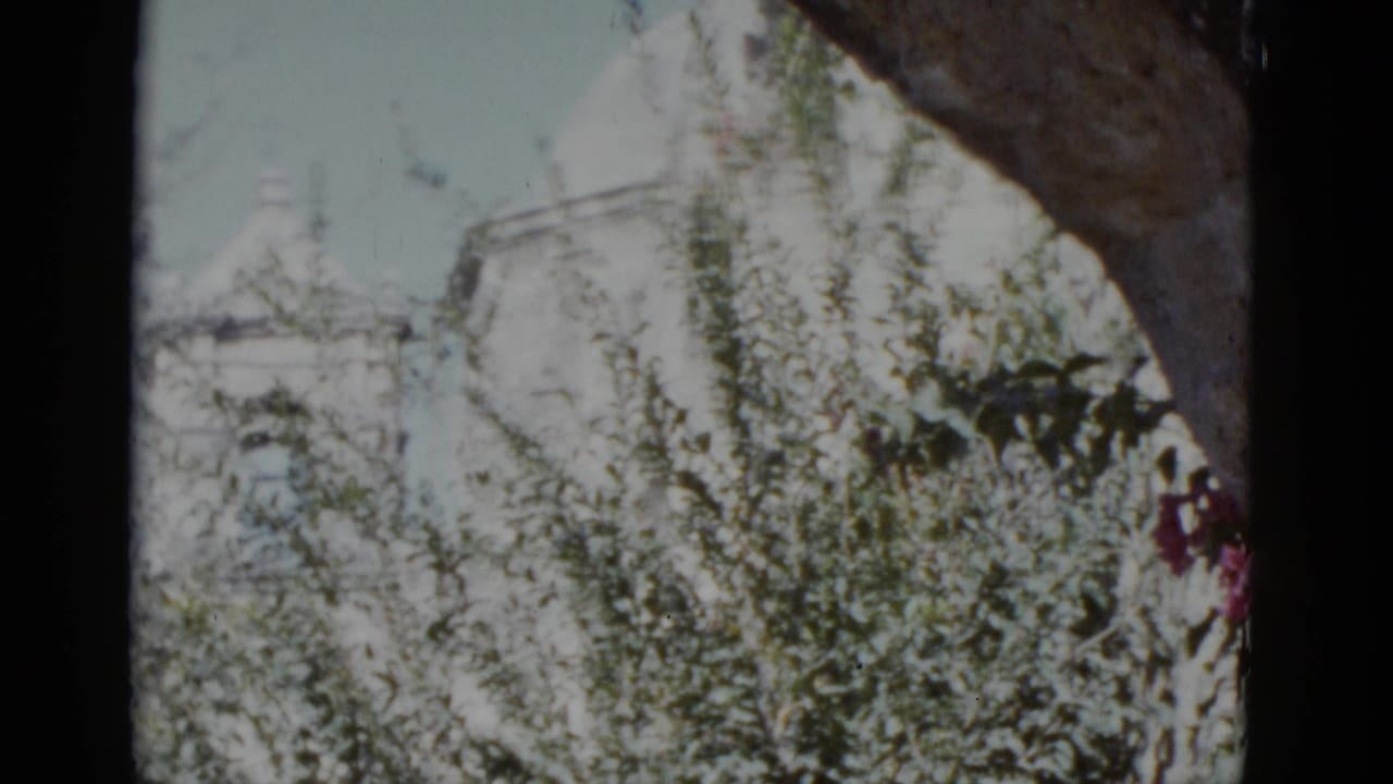 Opening 8mm pan frame — overhanging tree branch and flowering shrubs partially frame a white steepled building, attributed to New Orleans, 1952.