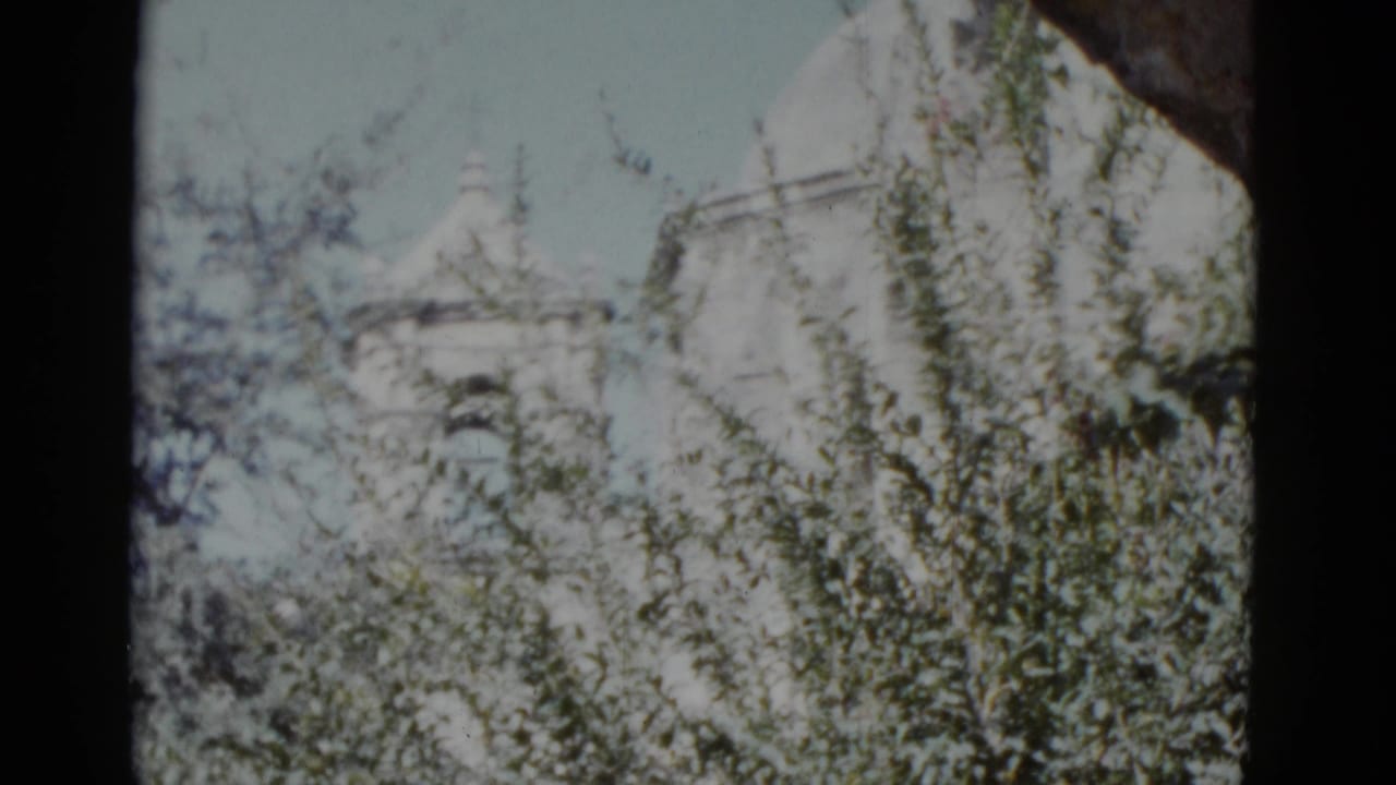 Mid-pan 8mm frame showing dense shrubs and a white steepled structure rising above the foliage, attributed to New Orleans, 1952.