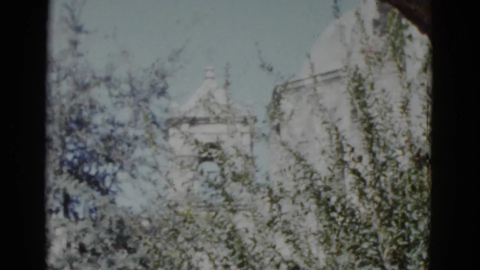 8mm travel film frame showing dense shrubs and a partially obscured white steepled building in the background, attributed to New Orleans, 1952.