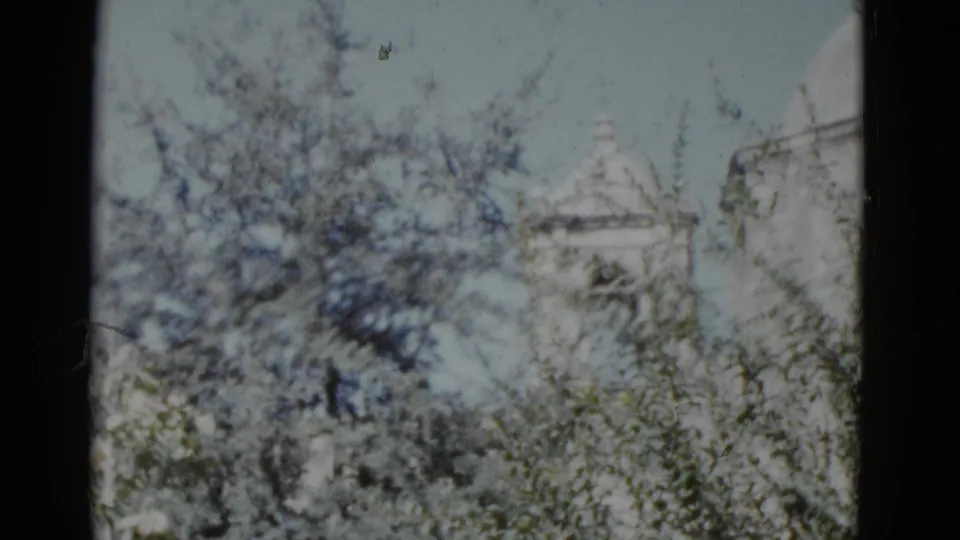 Dense flowering trees partially obscure a white church structure in New Orleans, filmed on 8mm color stock circa 1952.