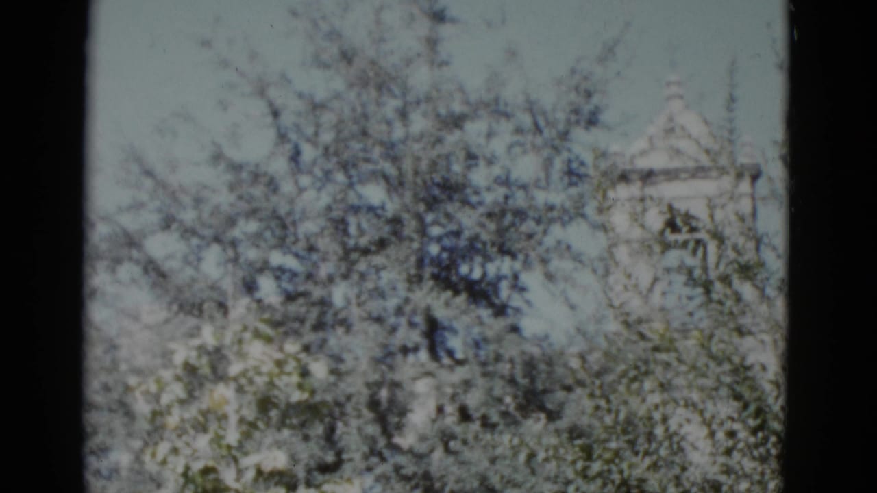 Camera pan reveals white church wall and upper structure through leafy flowering branches, 8mm color film.
