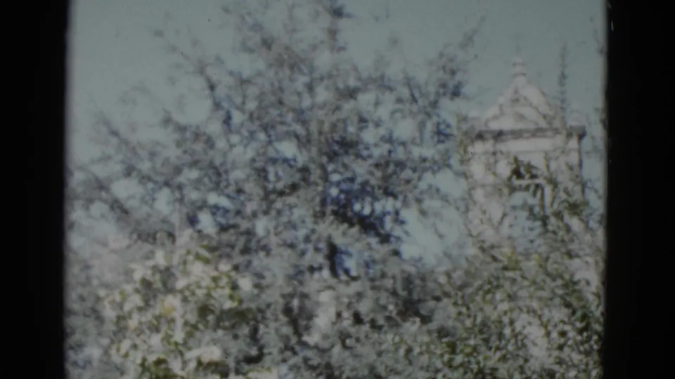 Slow pan reveals the wall and upper portion of a white church through flowering trees, New Orleans circa 1952, 8mm color film.