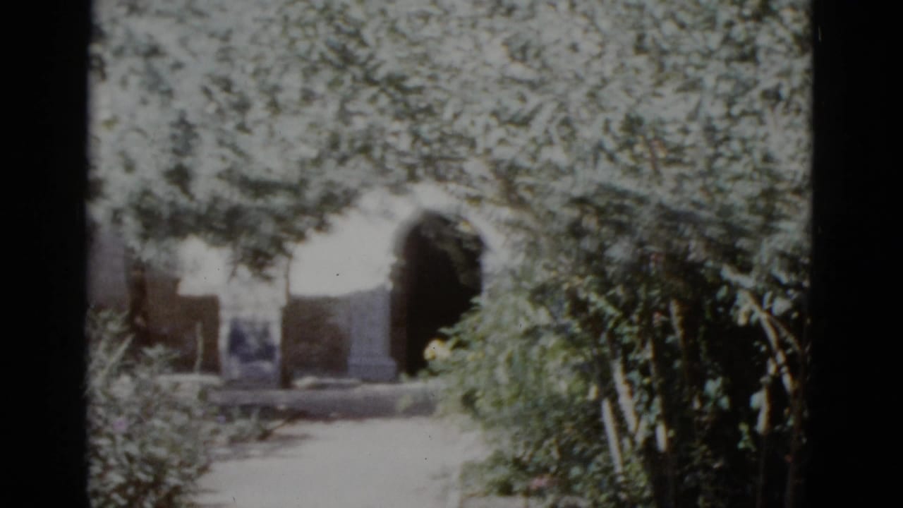 1952 8mm home-movie frame showing a rounded stone arch set in a masonry wall, surrounded by lush foliage, likely in New Orleans.
