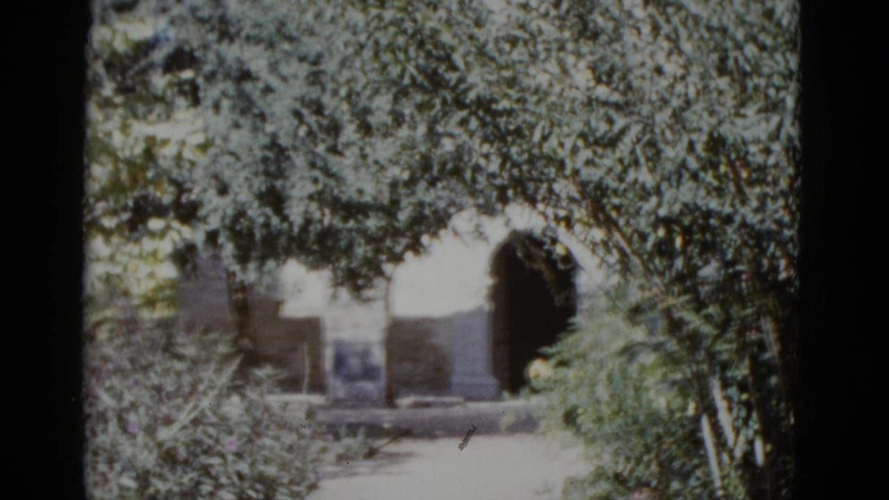 Pan into leafy tree canopy with stone arch partially visible through foliage, 8mm film.
