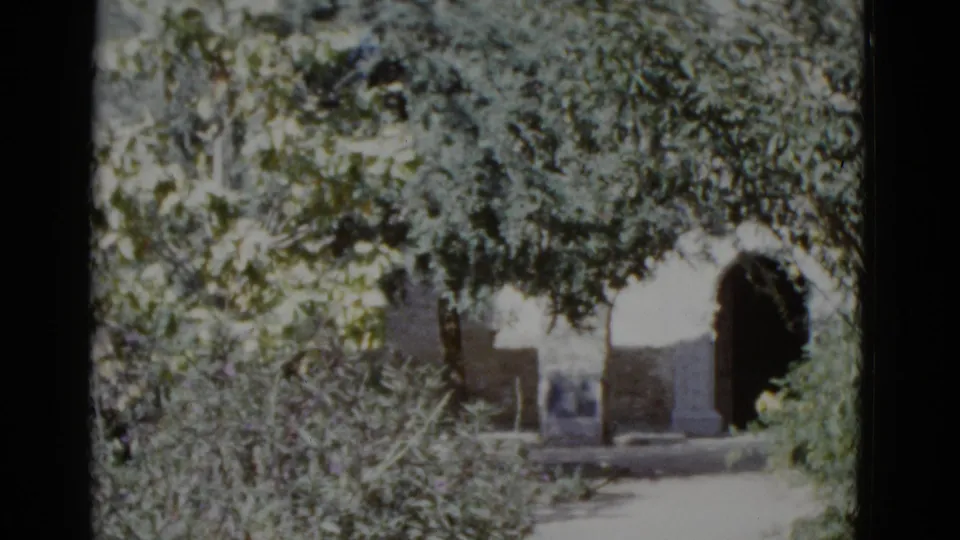 Final pan frame from 1952 8mm footage showing a foliage-dominated composition with a stone arch structure in the background, likely New Orleans.