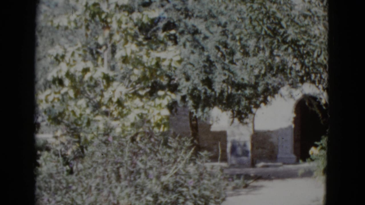 Sun-drenched garden with dense green foliage and a stone archway visible in the background, 8mm film stock.
