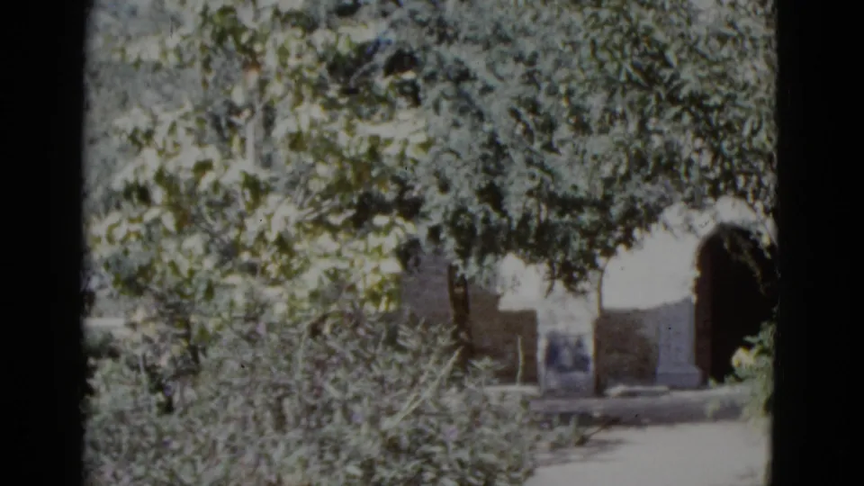 8mm home movie frame circa 1952 showing a lush garden with overhanging tree canopy and a stone archway; no figures in the foreground.