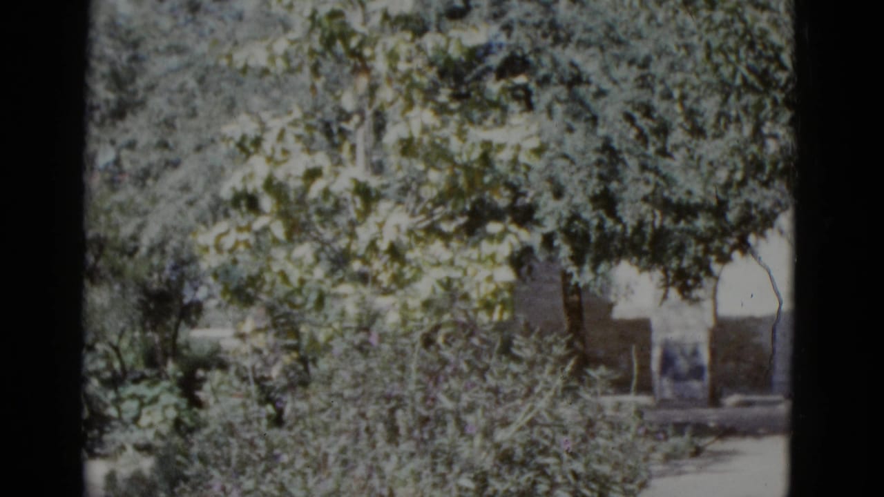 Garden scene with dense green foliage and stone archway, static 8mm frame; small indistinct figures may be present near the arch.