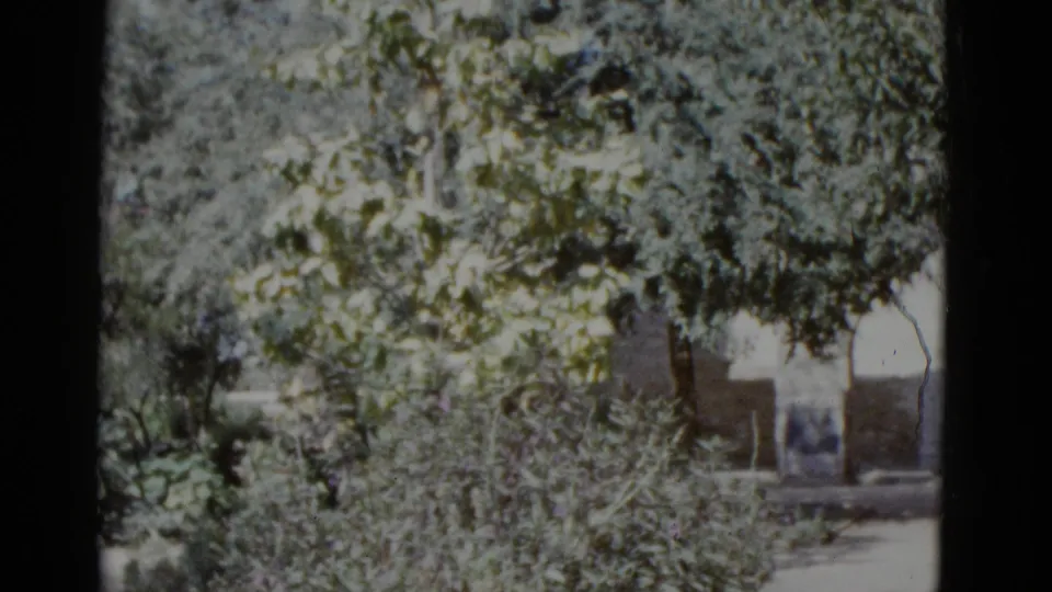 Circa 1952 8mm garden shot showing lush trees, stone archway and wall; small figures possibly visible near the archway in the middle distance.