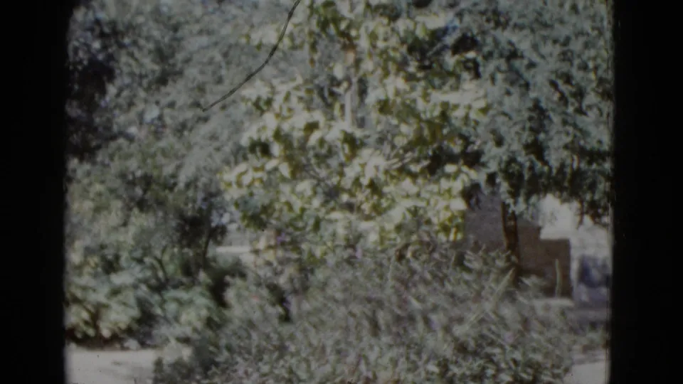 8mm garden footage circa 1952 showing dense vegetation and stone architectural elements; no foreground figure visible in this frame.