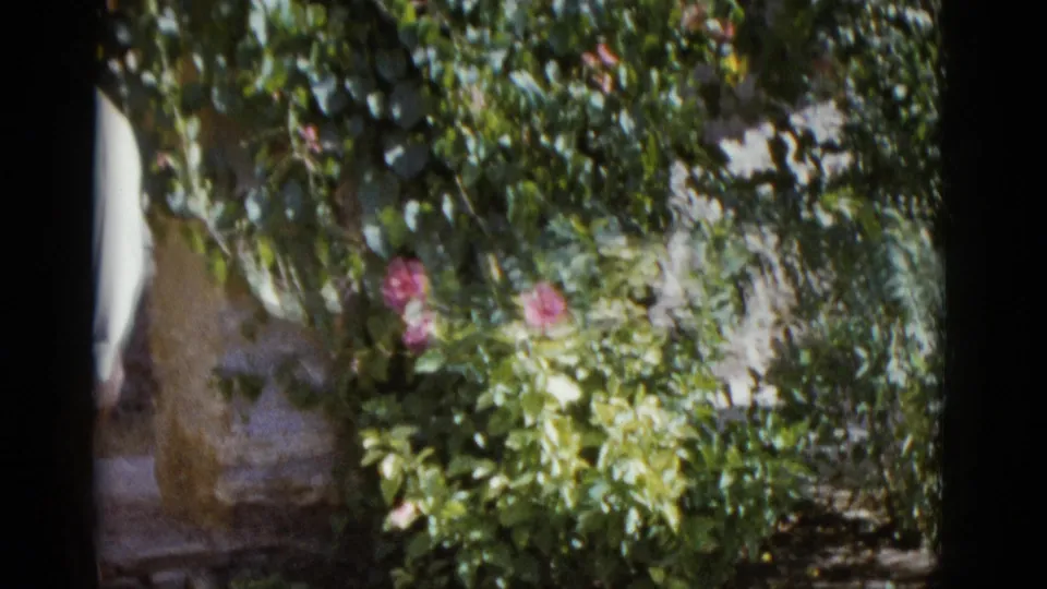 Man in a light short-sleeve shirt beside a rustic stone wall covered in flowering vines in New Orleans area, circa 1952.