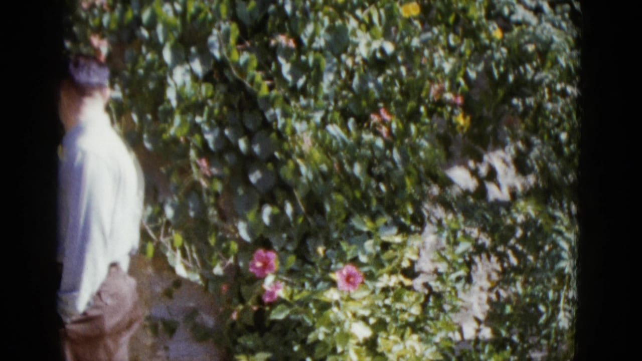 Man in light shirt stands with his back to camera before a dense wall of green foliage with pink and yellow blossoms.