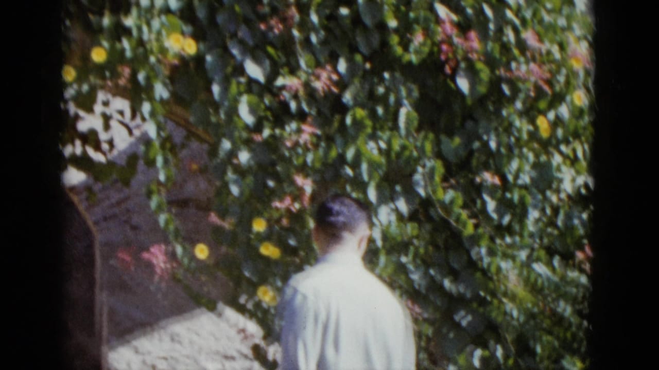 Man partially visible at right edge, with flowering garden wall of pink and yellow blossoms; stone or brick structure visible in background.
