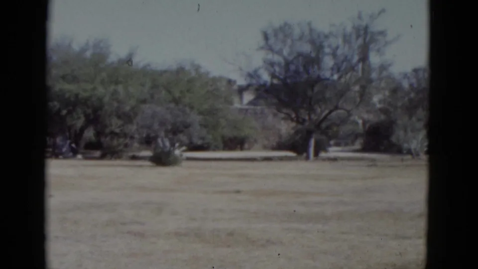 8mm home movie, 1952: second establishing view of an open arid landscape with sparse bare trees and a distant stone building with arched window.