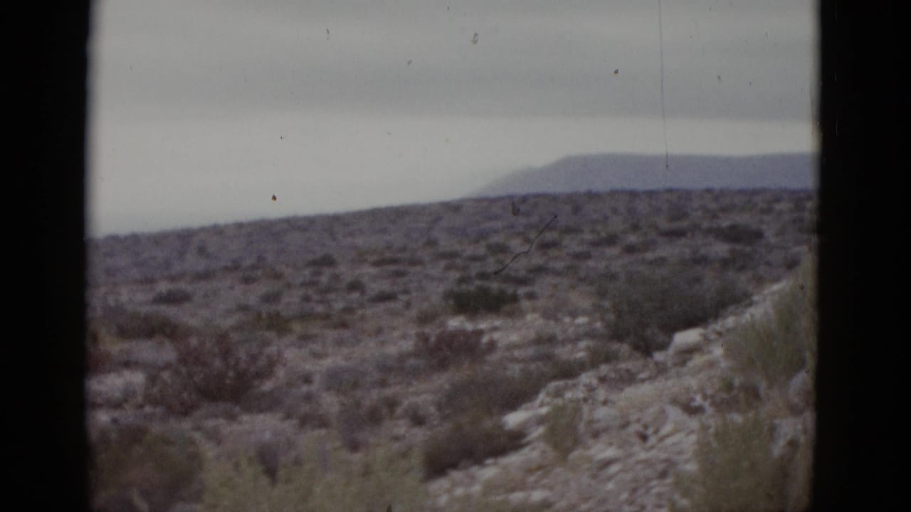 Rocky desert hillside with sparse scrub, pale rocky outcrops, distant mountain silhouette, and flat overcast sky; 8mm grain visible.
