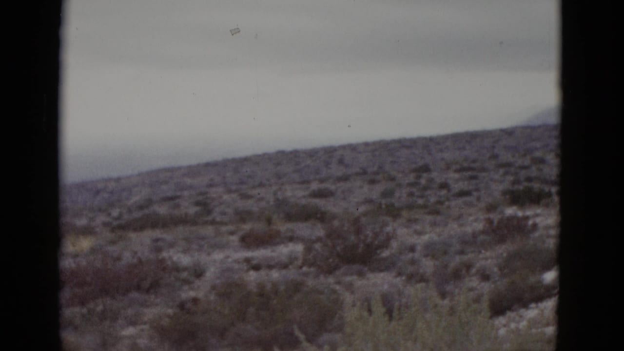 Arid desert scrubland with sparse low shrubs under an overcast sky, 8mm film.