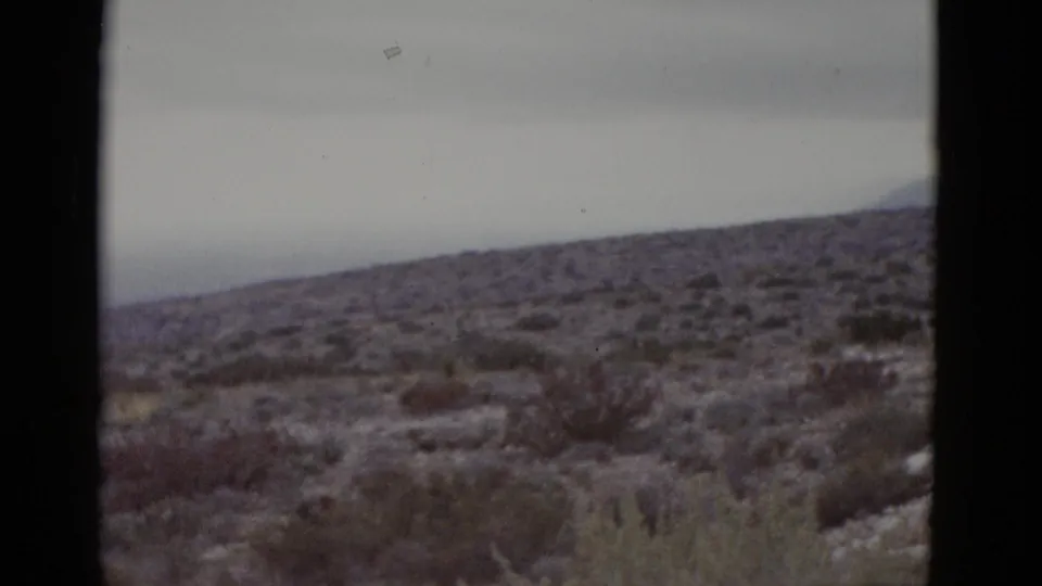 Wide 8mm home-movie shot of Texas desert scrubland circa 1952; sparse shrubs and dry brush under a flat grey overcast sky.