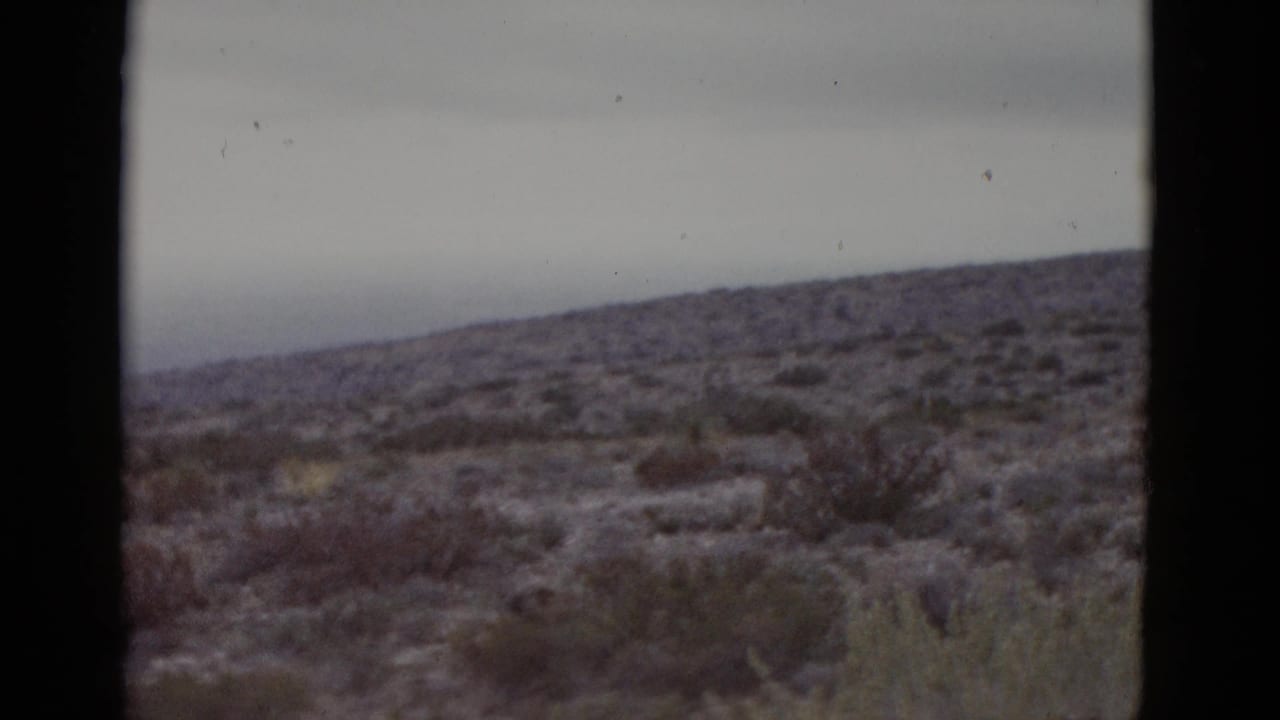 Desert scrubland with sparse shrubs and flat overcast sky, 8mm film.