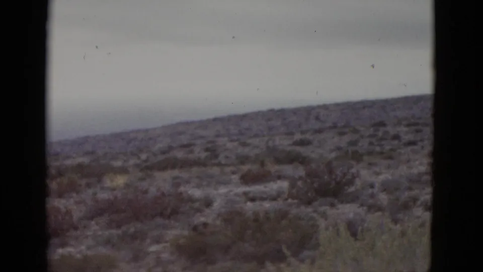 Wide 8mm shot of arid Texas scrubland circa 1952; low vegetation covering rolling terrain under a flat grey sky.