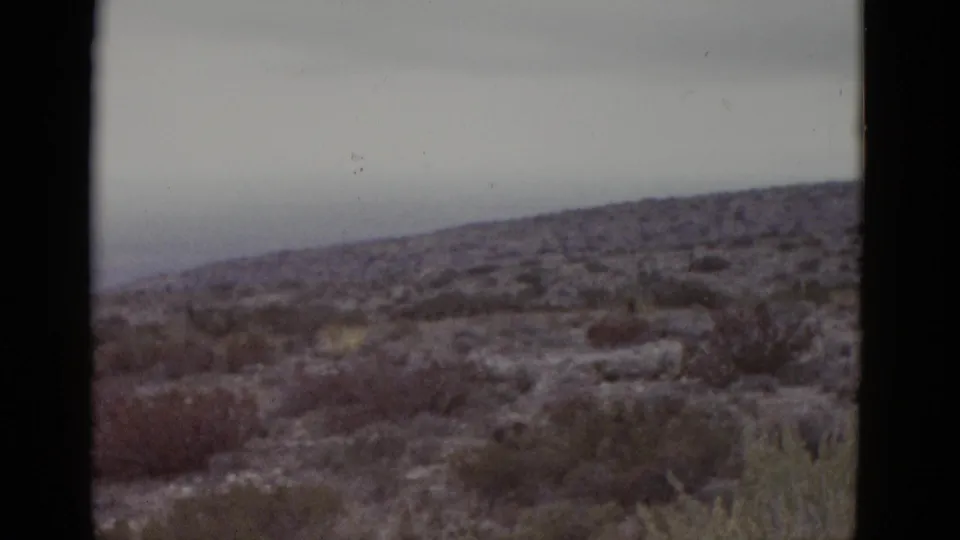8mm home-movie frame of Texas desert circa 1952; lower horizon reveals more grey sky above rolling brush-covered terrain.