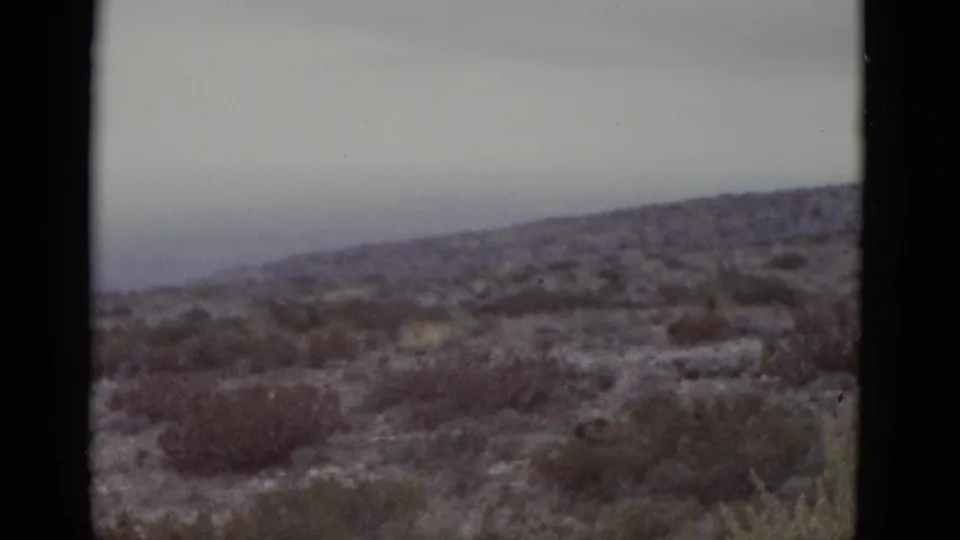 Final 8mm frame of Texas desert circa 1952; sparse scrub in foreground, rolling terrain to horizon under flat grey overcast sky.