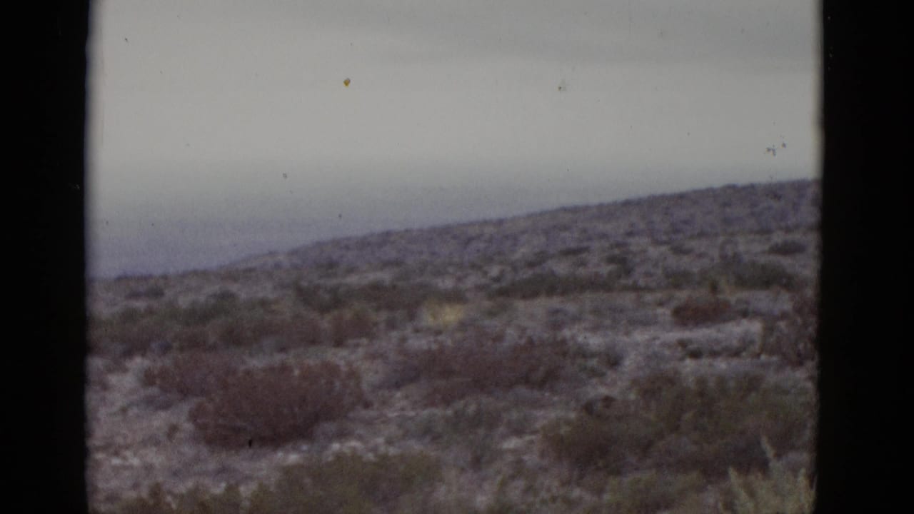 1952 8mm home movie frame showing Texas scrubland — sparse desert brush on rolling terrain under a flat grey overcast sky.