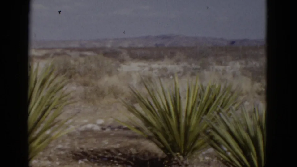 Yucca plants framing an open desert plain with a mountain range on the horizon; American Southwest, circa 1952 8mm footage.