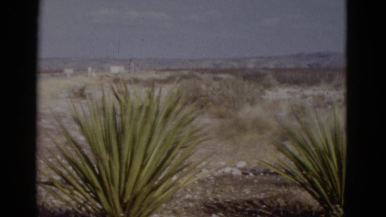 Yucca plants in arid Southwestern desert scrub with dry brush and distant mountains; from a 1952 road-trip home movie on 8mm film.