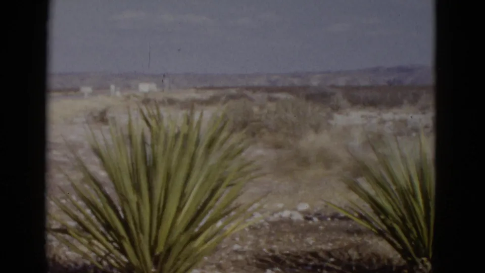 Yucca plants in arid Southwestern desert scrub with dry brush and distant mountains; from a 1952 road-trip home movie on 8mm film.