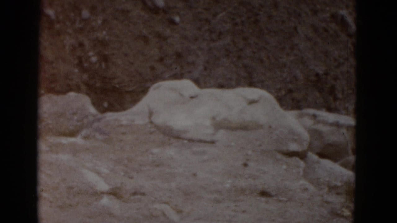 Pale flat rock slabs on dry reddish-brown desert earth, filmed from close range.
