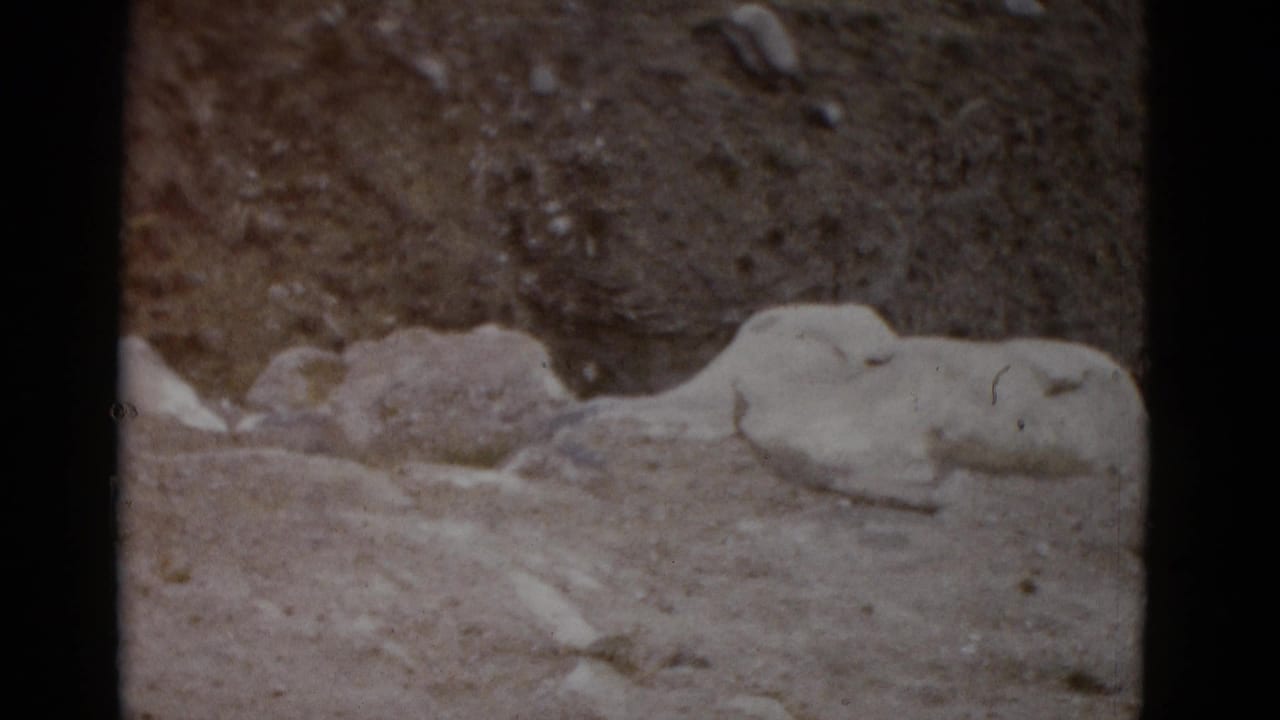 Pale sedimentary rock shelf against dry desert earth, slight camera pan from previous frame.