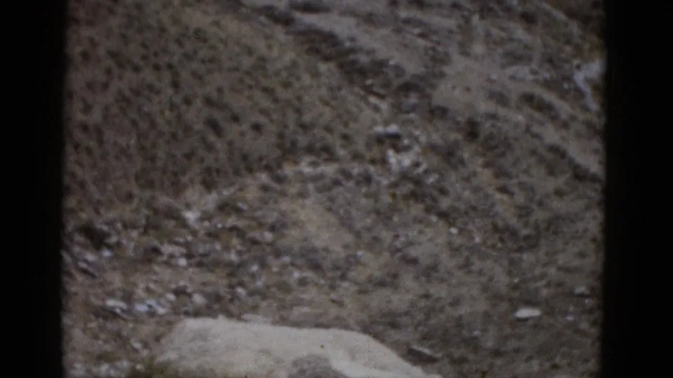 Close view of dry, gravelly desert floor with scattered stones, 8mm home movie footage attributed to Utah circa 1952.