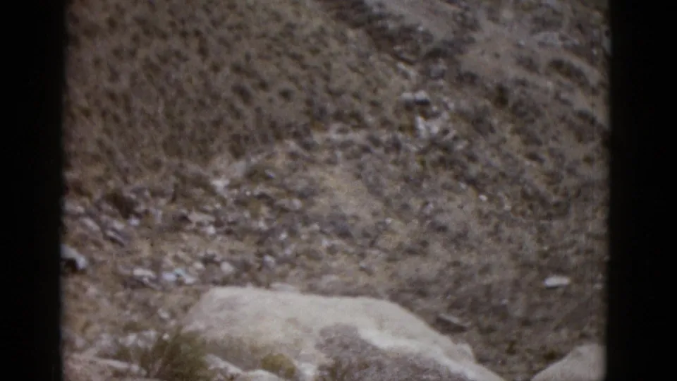 Arid desert terrain showing dry soil, small stones, and a pale boulder, 8mm footage attributed to Utah, 1952.