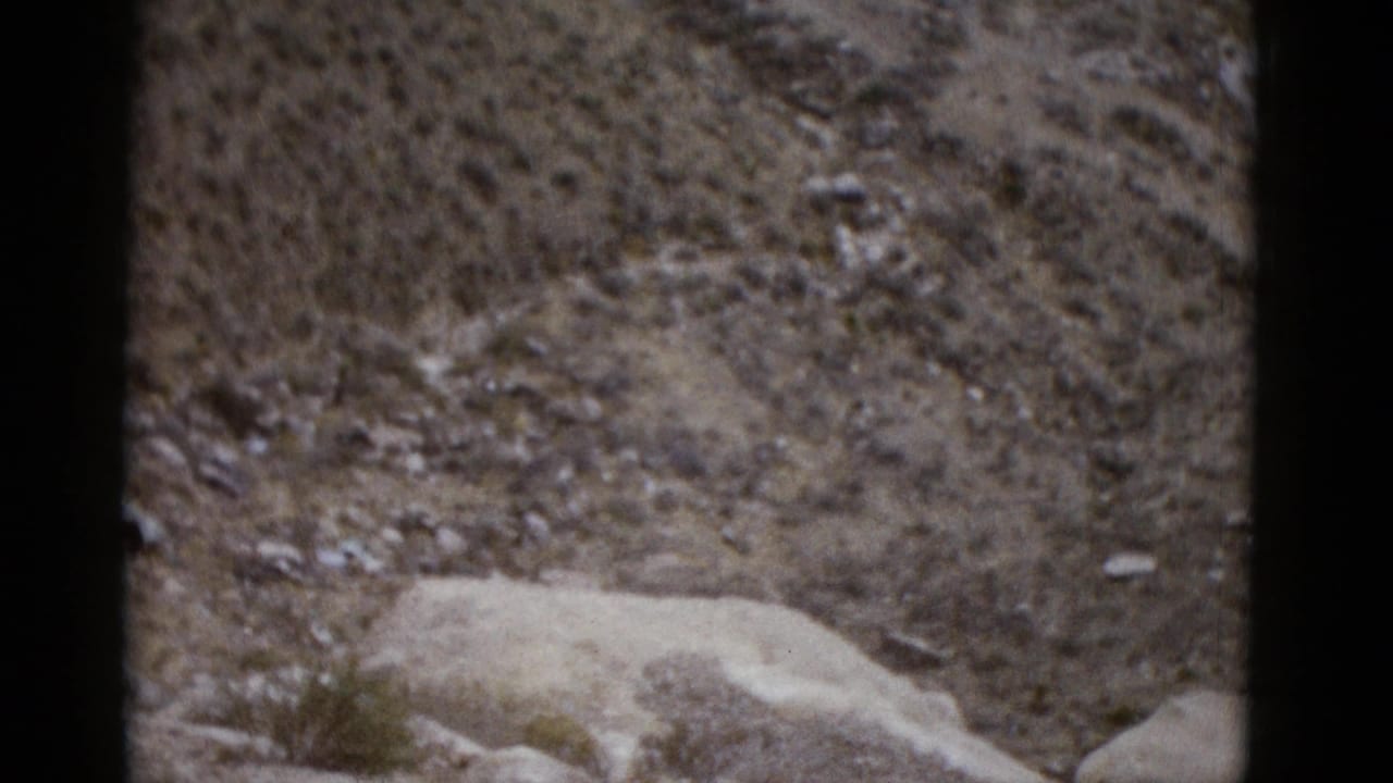 Close-up of rocky arid hillside with pale boulders and sparse dry scrub, filmed on 8mm color film.