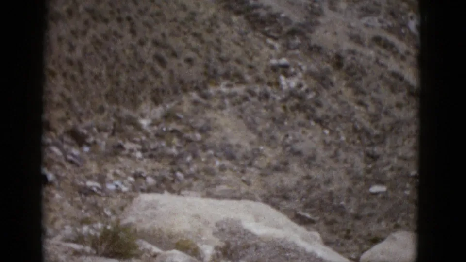 Close-up of rocky desert terrain with pale boulders and sparse scrub vegetation, from a 1952 8mm home movie shot in Utah.