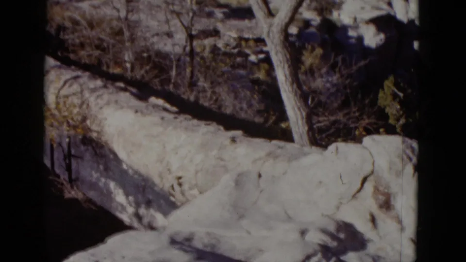 1952 Arizona home-movie view of a pale snow-dusted ridge, a bare tree trunk, brush, and dark rocky shadow below.