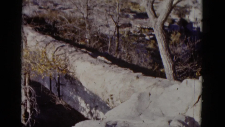 1952 Arizona landscape frame showing a pale ridge or melting snowfield, bare trees, sparse brush, and dark rocky hillside.