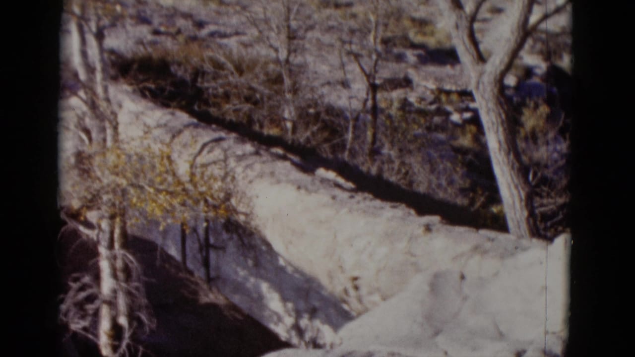 1952 Arizona 8mm frame showing a long fallen trunk or log across rocky desert ground with sparse trees and brush.