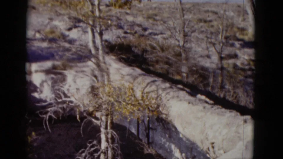 1952 Arizona 8mm frame with a fallen trunk, sparse trees, and dark shadow or water beside pale stone.